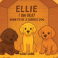 Book Cover Variant Thumbnail
